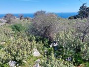 Kefalas Chania Kreta, Kefalas Chania: Atemberaubendes Grundstück mit Meerblick zum Verkauf Grundstück kaufen